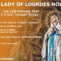 Our Lady of Lourdes Novena 2020